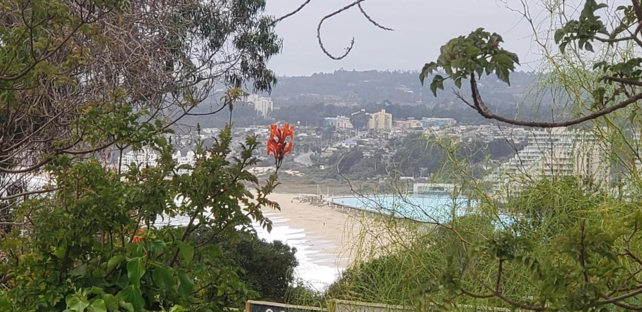 Cabanas Aire Marino Algarrobo Kültér fotó