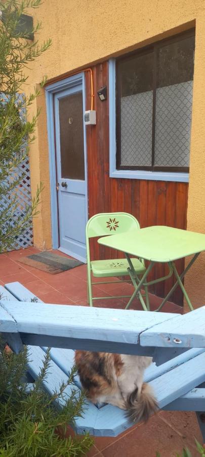 Cabanas Aire Marino Algarrobo Kültér fotó