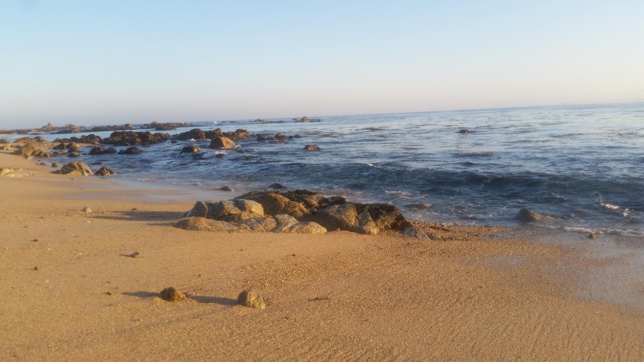 Cabanas Aire Marino Algarrobo Kültér fotó