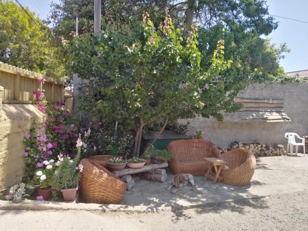 Cabanas Aire Marino Algarrobo Kültér fotó