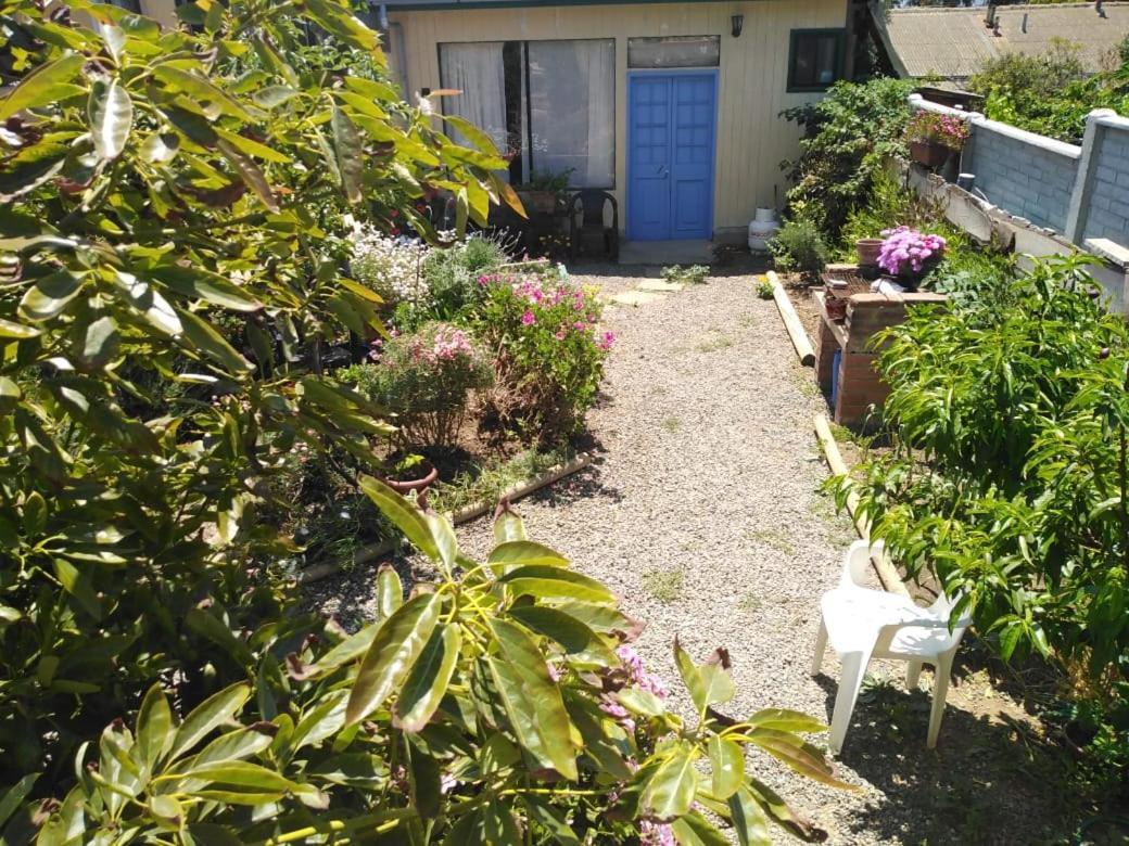 Cabanas Aire Marino Algarrobo Kültér fotó